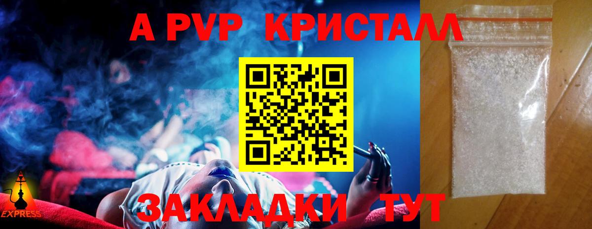 A PVP СК КРИС Обь