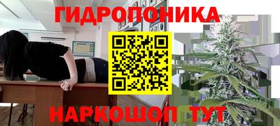 стаф Свободный