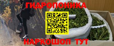 молекула духа Северобайкальск