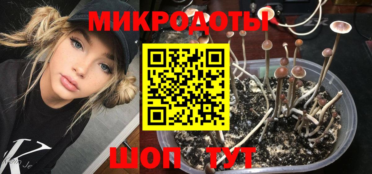 Обь  Галлюциногенные грибы MAGIC MUSHROOMS  Вход с VPN  купить   Псилоцибиновые грибы Psilocybine cubensis 