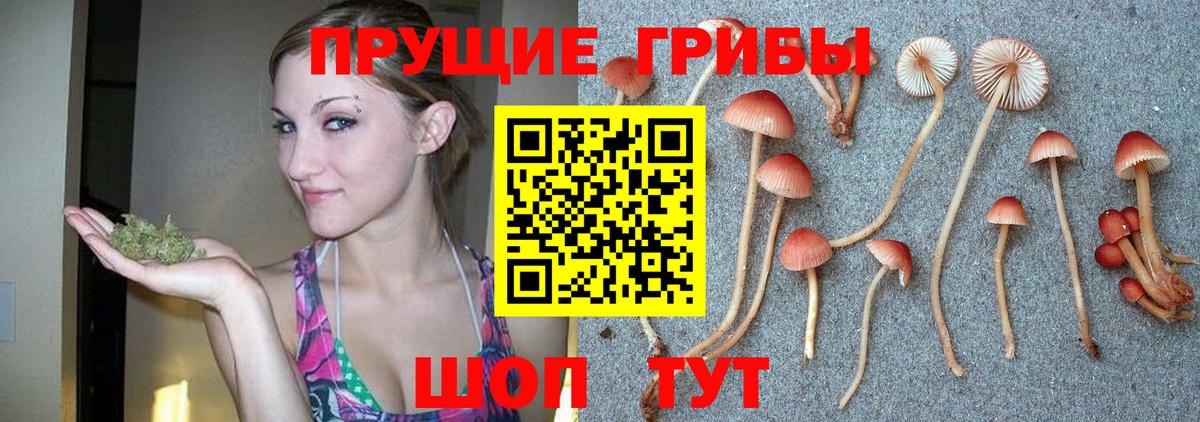 Псилоцибиновые грибы прущие грибы Обь
